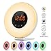 Radio Sunrise Alarm Clock, AK1980 Wake Up Light with 7 Colors Nature Sounds Snooze Function for Kids Teens Girls
