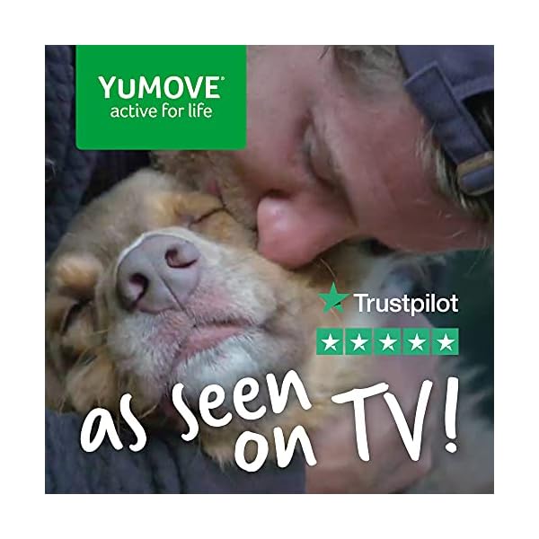 Lintbells-YuMOVE-Senior-Dog-Higher-Strength-Hip-and-Joint-Supplement-Formulation-Designed-for-Older-Dogs-Aged-8-120-Tablets YuMOVE Senior Dog | High Strength Joint Supplement for Older, Stiff Dogs with Glucosamine, Chondroitin, Green Lipped…