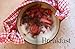 Le Pain Quotidien Cookbook
