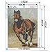 FuigeBach DIY 5D Diamond Painting Kits for Adults Full Drill Horse Diamond Painting by Number Kits Crystal Rhinestone Embroidery Arts Crafts for Home Wall Decor (Horse,12X16 inches)