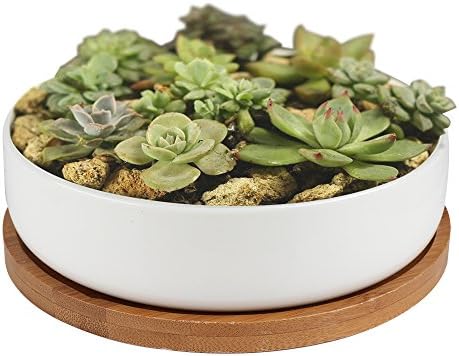 Smater Modern White Ceramic Succulent Planter, Decorative Cactus Flower Pot with Bamboo Tray