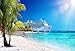 OFILA Cruise Ship Backdrop 7x5ft Caribbean Sea Photography Backdrop Palm Coral Beach Backdrop Summer Cruise Party Decoration Coast Tropical Island Photo Ocean Cruise Tour Birthday Photo Backdrop