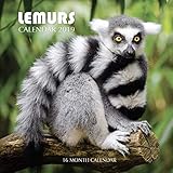 Lemurs Calendar 2019: 16 Month Calendar by Mason Landon