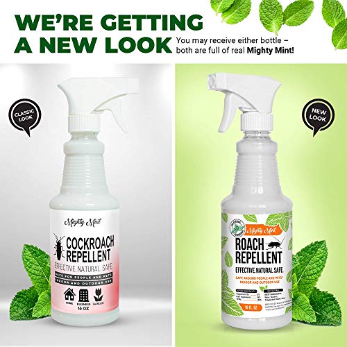 Mighty Mint 16oz Cockroach Repellent Natural Peppermint Oil Spray