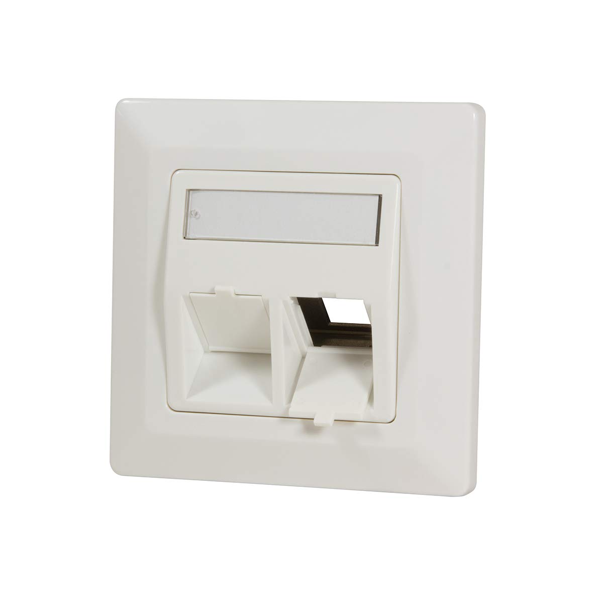 Logilink Professional Keystone NK4021 Flush-Mounted Box for 2 Keystone Sockets/Modules with 45° Outlet