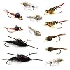 Go-to-Trout-Fly-Fishing-Nymph-Assortment-12-Flies Go-to-Trout-Fly-Fishing-Nymph-Assortment-12-Flies