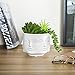 MyGift 4-Inch White Ceramic Multiple Face Shaped Vase Plant Pot, Guanyin Design Small Plants Cactus Succulent Planter