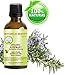 Organic ROSEMARY Essential Oil. 100% Pure Therapeutic Grade, Premium Quality, Undiluted, Steam Distilled. 0.17 Fl.oz.- 5 ml. by Botanical Beauty.