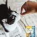 Meow Mix Brushing Bites Dental Cat Treats