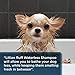 Lillian Ruff Waterless Dog Shampoo - No Rinse Quick Dry Shampoo for Dogs Spray - Tear Free Lavender Coconut Scent to Deodorize Pet Odor and Freshen Coat - Made in USA (16oz)