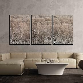 3 Piece Canvas Wall Art - Cold Winter Morning Over Urban Park, Moscow - Modern Home Art Stretched and Framed Ready to Hang - 16"x24"x3 Panels