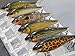 wLure Minnow Crankbait for Bass Fishing Bass Lure Jerkbait Fishing Lures and Tackle Box