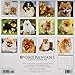 Just Pomeranians 2019 Wall Calendar (Dog Breed Calendar)