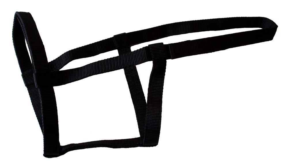 Rhinegold Field Safe Headcollar-Cob-Black