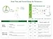 Easy@Home 10 Individual Pouch Urinary Tract Infection FSA Eligible Test Strips, UTI Urine Testing Kit for Urinalysis and Detection of Leukocytes and Nitrites- (UTI-10P)