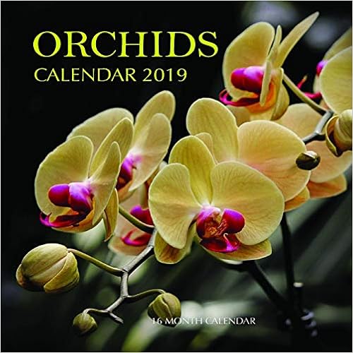 Orchids Calendar 2019: 16 Month Calendar
