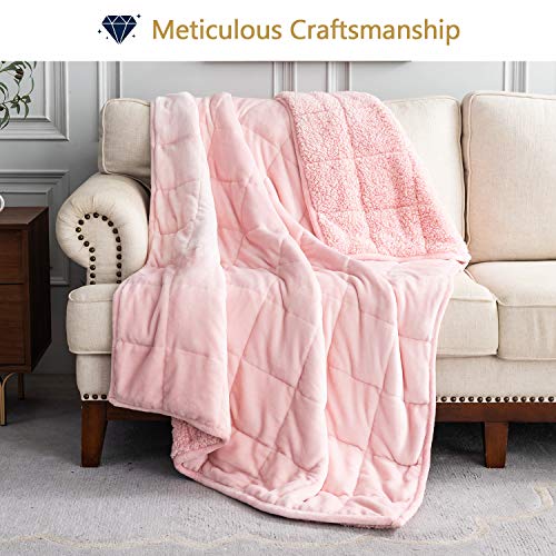 Mr.Sandman Weighted Blanket 15lbs for Queen Size Bed, Cozy Sherpa Heavy