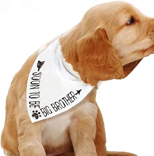 promoted to big brother dog bandana