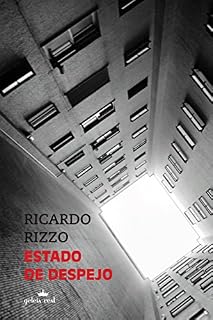 Livro Estado de despejo (Geleia Real)