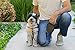 ErgoClick - Black Retractable Dog Leash, 26-Feet Long, Large Heavy Duty, Ergonomic Soft-Grip and Durable - For All Sizes and Breeds