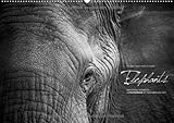 Emotional Moments: Elephants UK Version - Posterbuch