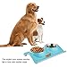 LOVE'S Dog Bowls Pet Food Bowl Raised Cat Puppy Bowls No Spill Elevated Eating Feeding Dog Bowl Set Water Feeder for Small Animals No Tip Stainless Steel