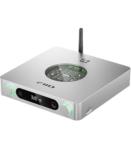 FiiO K11 R2R DAC and Headphone Amplifier for Home Audio or