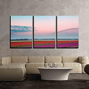 3 Piece Canvas Wall Art - Famous Dutch Bulb Fields with Millions of Tulips in Holland Being Watered in The Morning - Modern Home Art Stretched and Framed Ready to Hang - 16"x24"x3 Panels