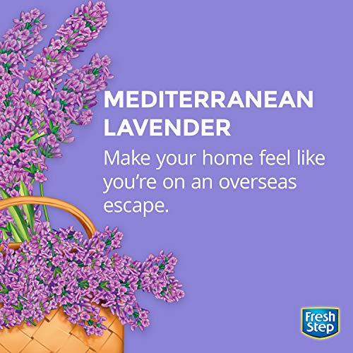 fresh step mediterranean lavender