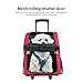 HARBO Pet Travel Carrier Rolling Backpack for Dogs Cats Small Animals Airline Travel Tote (Red)