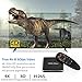 NewPal TV Box, H96MAX X2 Android 9.0 TV Box with Voice Remote 4G 64G 4K Stream Media Player Support 2.4G/5G WiFi