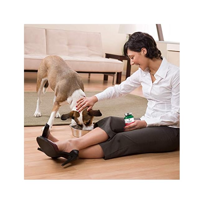 vet's best shed and itch