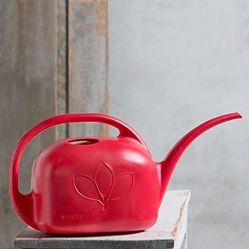Novelty Indoor Watering Can, 1 Gallon, Red