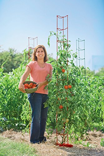 image for Gardener's Supply Company Stacking Tomato Ladders, Tomato Supports for