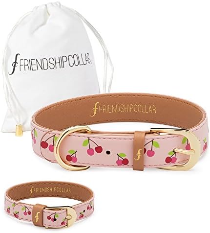 FriendshipCollar Dog Collar and Matching Bracelet Set - Tutti Poochi - Vegan Leather - 8 Sizes Available