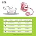 Didog Adjustable Pets Soft Breathable Mesh Vest Harness and Leash Set with Cute Bell for Puppy Small Medium Dogs and Cats(Pink L:Chest 14-20.5