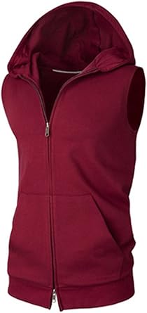 tiger sweatshirt anine bing