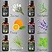 Botanic Hearth Hair Oil 0.3 fl oz