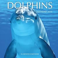 Dolphins Calendar 2016: 16 Month Calendar 1517166845 Book Cover