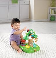 rainforest healthy care high chair