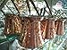 Copper Turkish Coffee Pot Stovetop Coffee Maker Cezve Jazva Jazwa Ibrik Briki (X - Large)