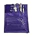 EMI Nurse PURPLE Pocket Organizer 4 piece KIT - Pocket Organizer, Lister Bandage Scissor, LED Pupil Gauge Penlight, and Chart Pen