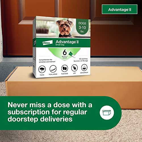 Advantage II Small Dog Flea Treatment & Prevention