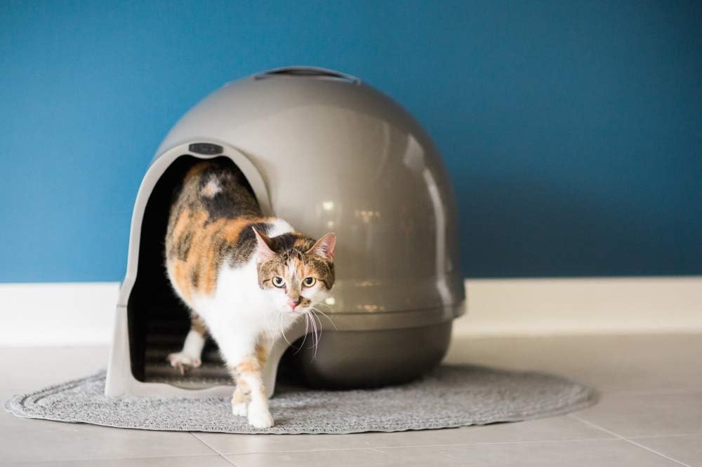 Petmate Booda Dome Clean Step Cat Litter Box 3 Colors, Brushed Nickel: Pet Supplies