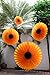 6-Piece Sunflower Theme Decorations Tissue Paper Fan Party Supplies Perfect for Classroom Baby Shower Wedding Birthday Backdrop Garland (Two 24 inch, Two 16 inch, Two 9.5 inch.)