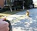 Living Express Retractable Dog Leash, Reflective 16 ft Dog Walking Leash for Medium Large Dogs up to 110lbs, Tangle Free, One Button Break & Lock, Dog Waste Dispenser and Bags included