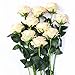 Luyue 10PCS Artificial Roses Flower Silk Rose with Stem Realistic Artificial Long Stem Rose Valentine's Day Fake Roses Bouquet for Wedding Home Decoration