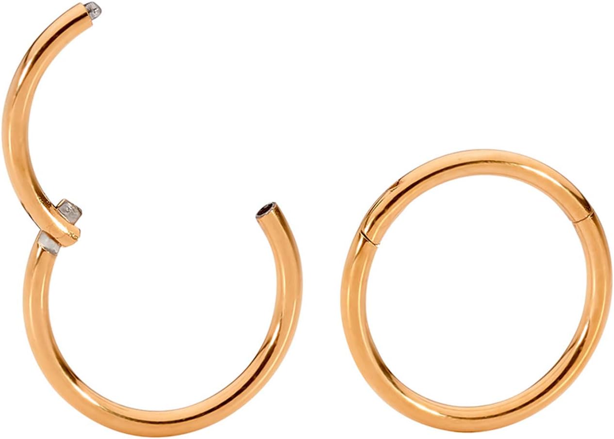 365 Sleepers2PCS Titanium Implant Grade 18G Septum Jewelry Hinged Segment Ring Body Piercing Hoop Lip Rings Helix Cartilage Rook Sleeper Earrings Nickel Free Hypoallergenic 6mm – 13mm
