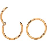 365 SLEEPERS 2PCS 316L Surgical Steel Hypoallergenic 18G Septum Jewelry Hinged Segment Ring Body Piercing Hoop Lip Rings Helix Cartilage Rook Sleeper Earrings 6mm – 13mm