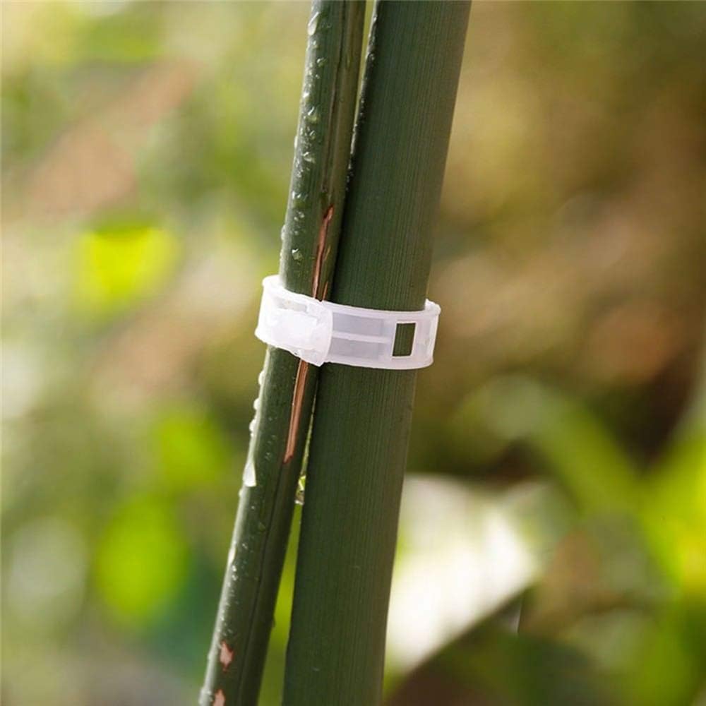 MAXGOODS - 500 Pinzas para Plantas, huerto, Tornillos, Tomates ...